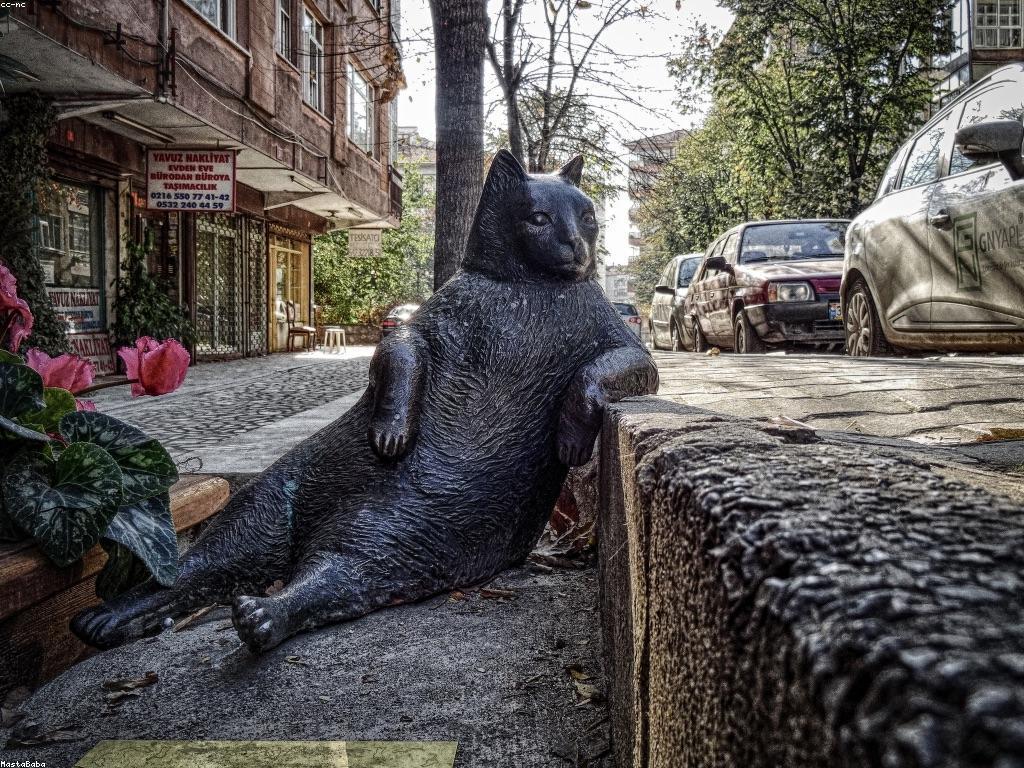 ការយល់ដឹងអំពីស្ថិតិលទ្ធផលបាល់ទាត់